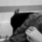 @artemisjous on Instagram.com